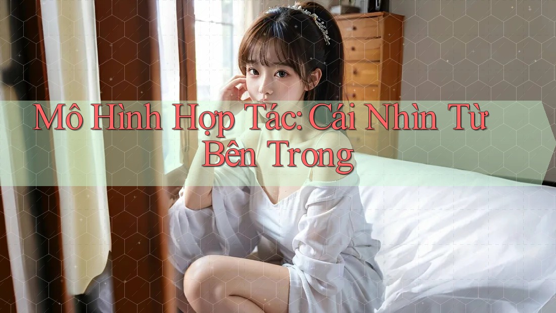 Mô Hình Hợp Tác: Cái Nhìn Từ Bên Trong