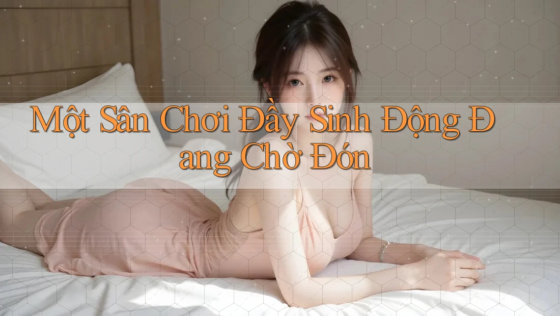 Một Sân Chơi Đầy Sinh Động Đang Chờ Đón Một Sân Chơi Đầy Sinh Động Đang Chờ Đón